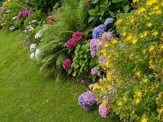 Amelia Island Flowers